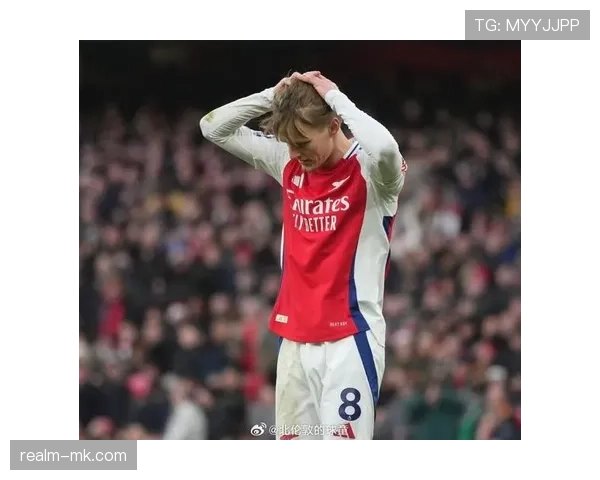 赖斯转会身价是否匹配其战术价值